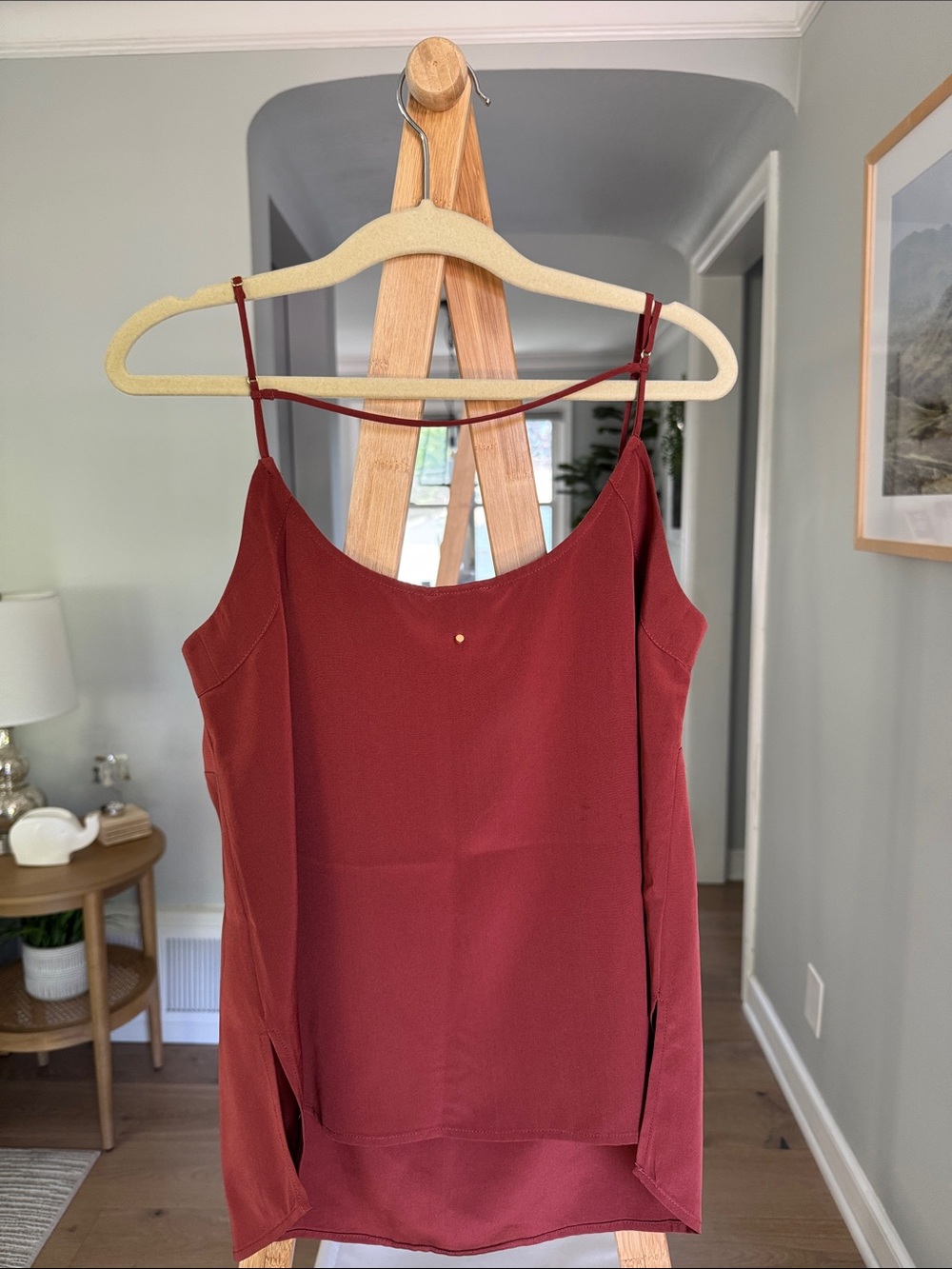 Cuyana Burnt Orange Scoop V Neck Silk Tank - Picture 4 of 4